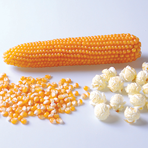 Popcorn