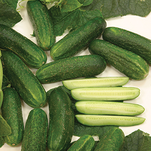 Pickling
