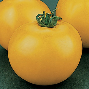 Non-Red