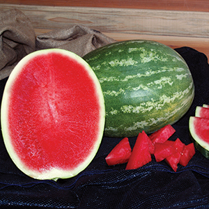 Watermelon