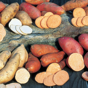 Potatoes, Sweet